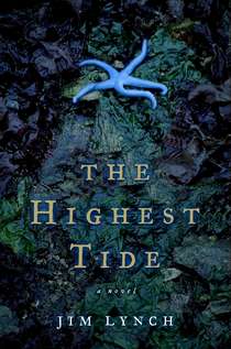 Highest Tide