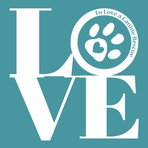 Tlc Love Dog Rescue design artwork