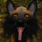 Dirt The Space Dirt Fox