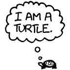 greenTurtle1134