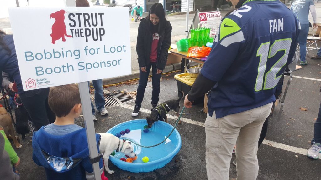 strut the pup seattle walk for the animals