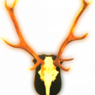 saschapi