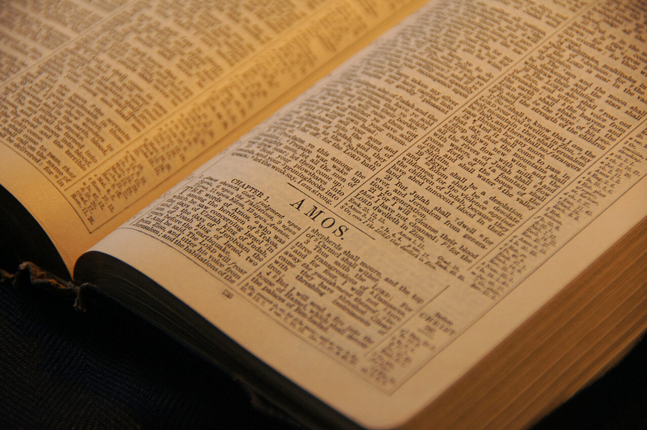 Old Testament Amos 7 7 15 Pentecost 7 Series B 1517 old-testament-amos-7-7-15-pentecost-7-series-b-1517