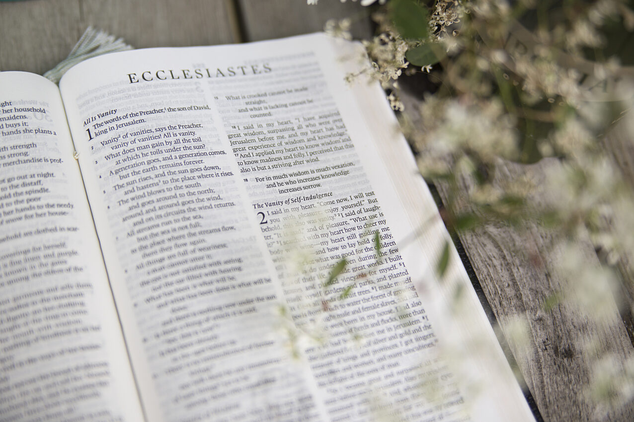 Bible book of ecclesiastes summary picture