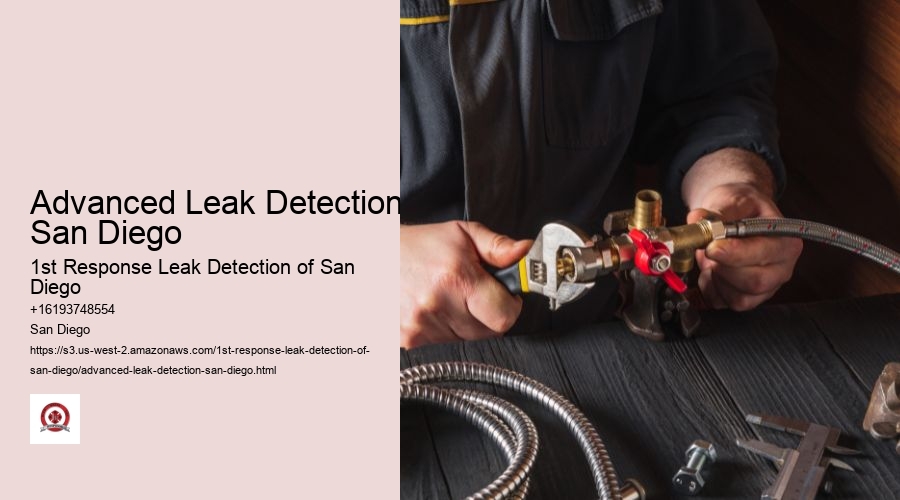 Advanced Leak Detection San Diego