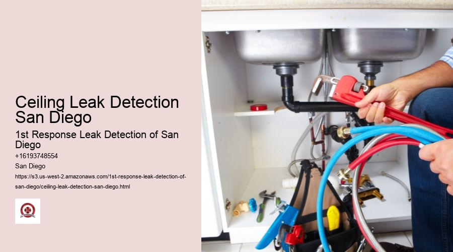 Ceiling Leak Detection San Diego