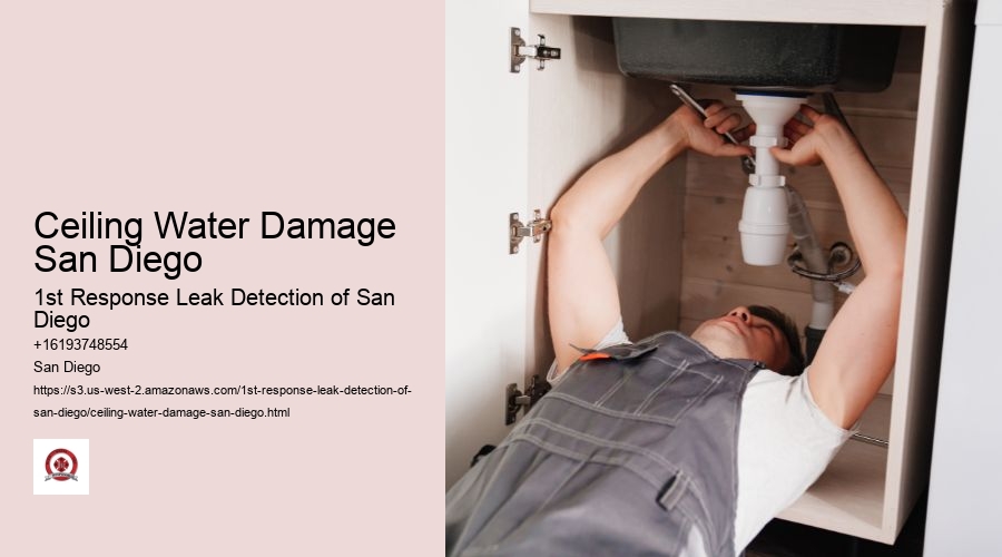 Ceiling Water Damage San Diego