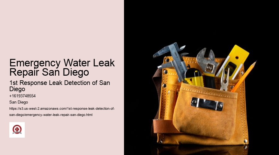 Emergency Water Leak Repair San Diego