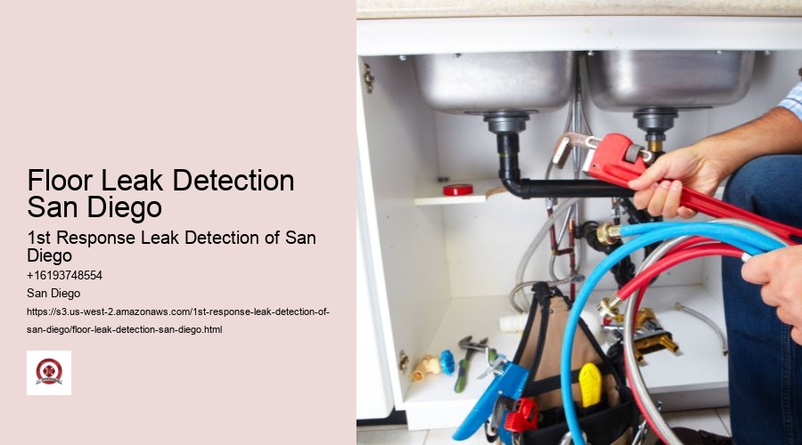 Floor Leak Detection San Diego