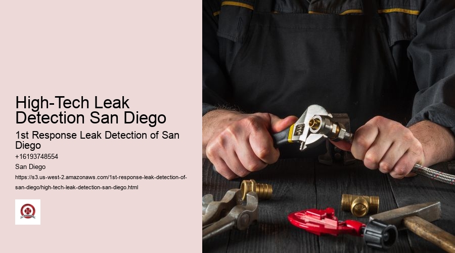 High-Tech Leak Detection San Diego