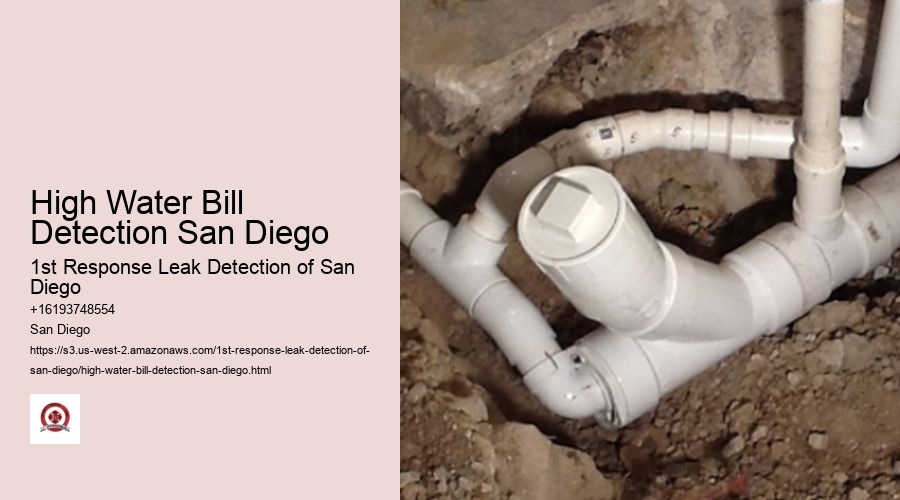High Water Bill Detection San Diego