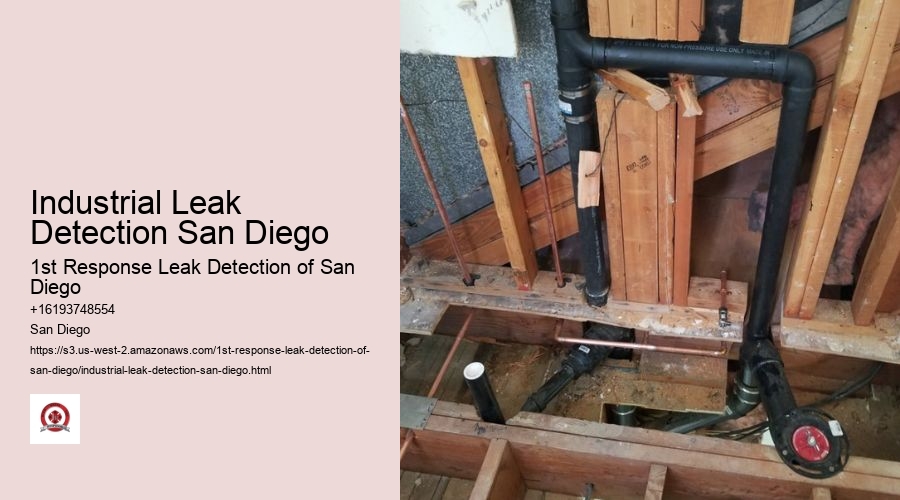 Industrial Leak Detection San Diego