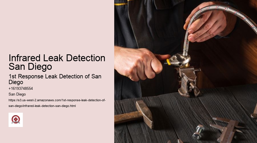 Infrared Leak Detection San Diego