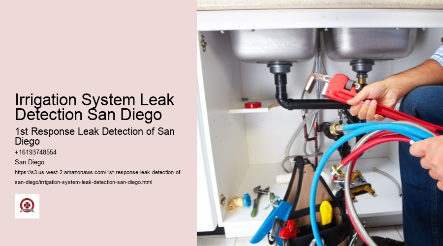 Irrigation System Leak Detection San Diego