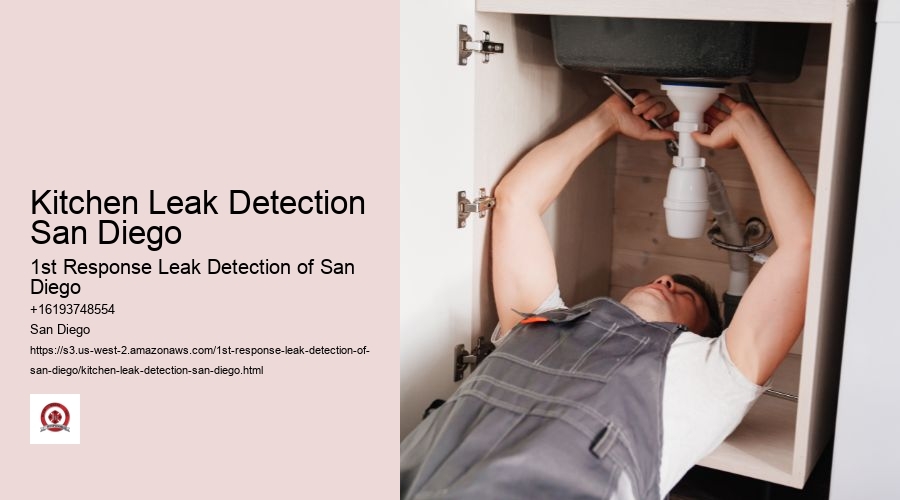 Kitchen Leak Detection San Diego