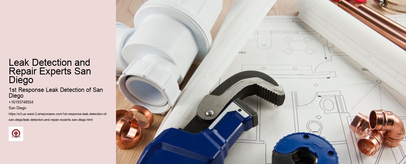 Leak Detection and Repair Experts San Diego
