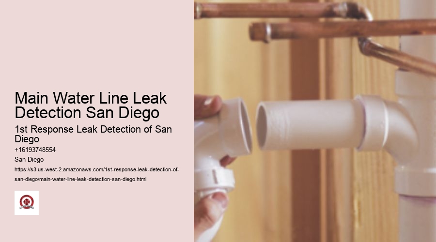 Main Water Line Leak Detection San Diego