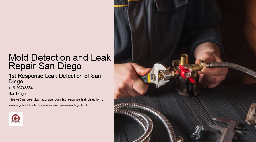 Mold Detection and Leak Repair San Diego