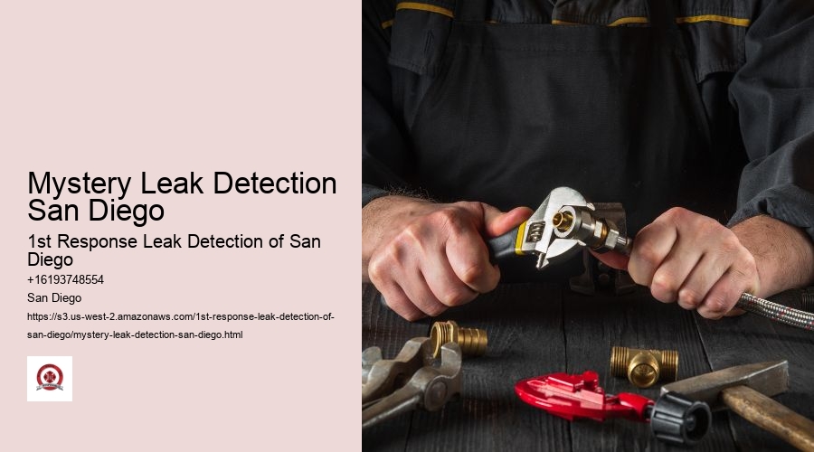 Mystery Leak Detection San Diego