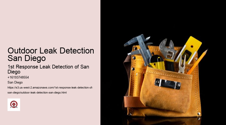 Outdoor Leak Detection San Diego