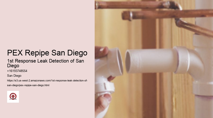 PEX Repipe San Diego