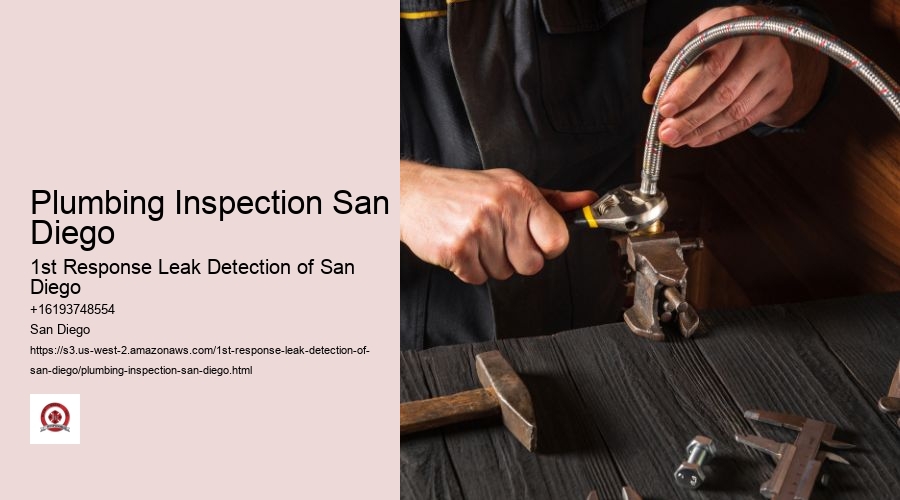 Plumbing Inspection San Diego