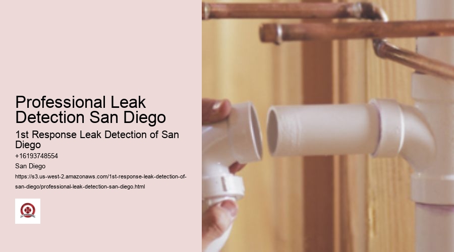 Professional Leak Detection San Diego