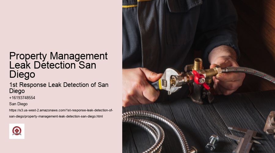 Property Management Leak Detection San Diego