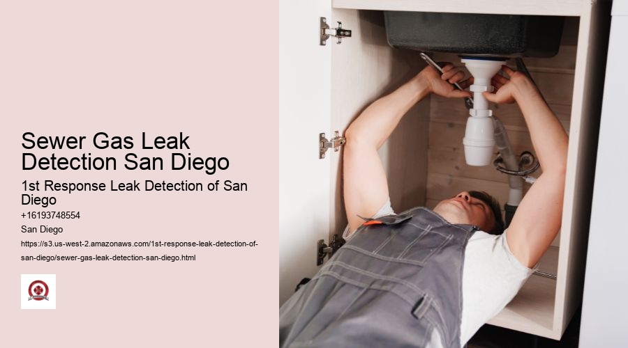 Sewer Gas Leak Detection San Diego