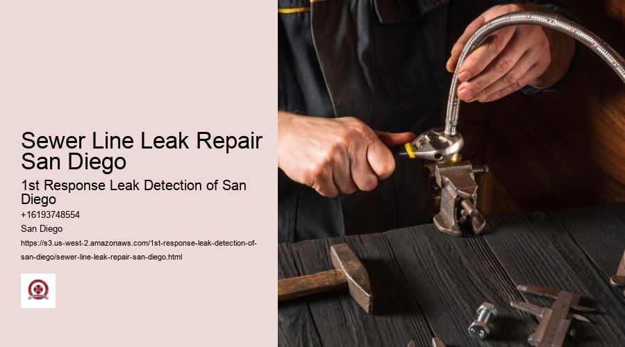 Sewer Line Leak Repair San Diego