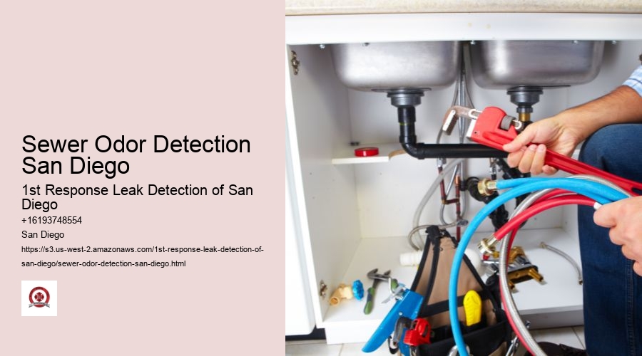 Sewer Odor Detection San Diego