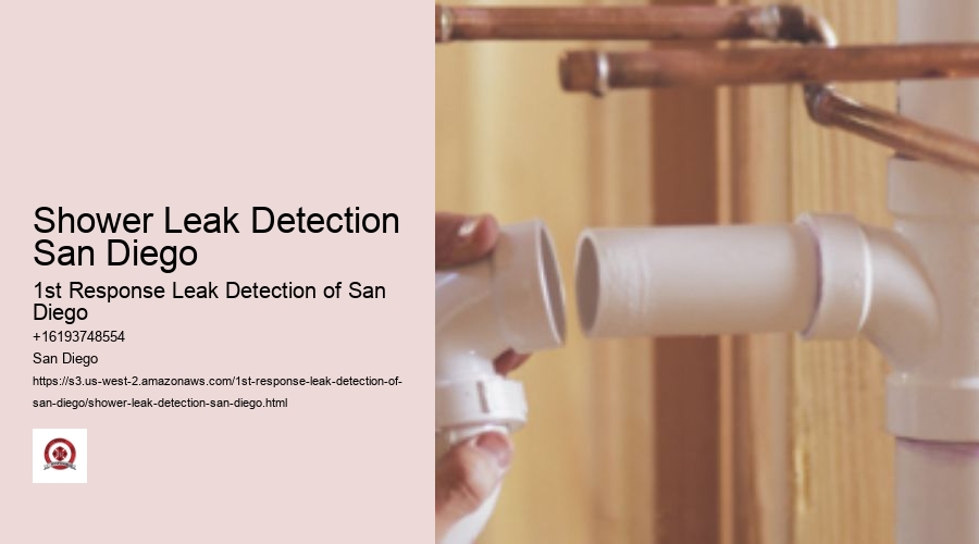 Shower Leak Detection San Diego