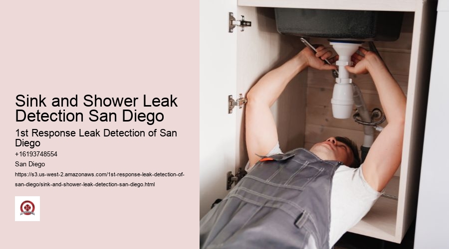 Sink and Shower Leak Detection San Diego