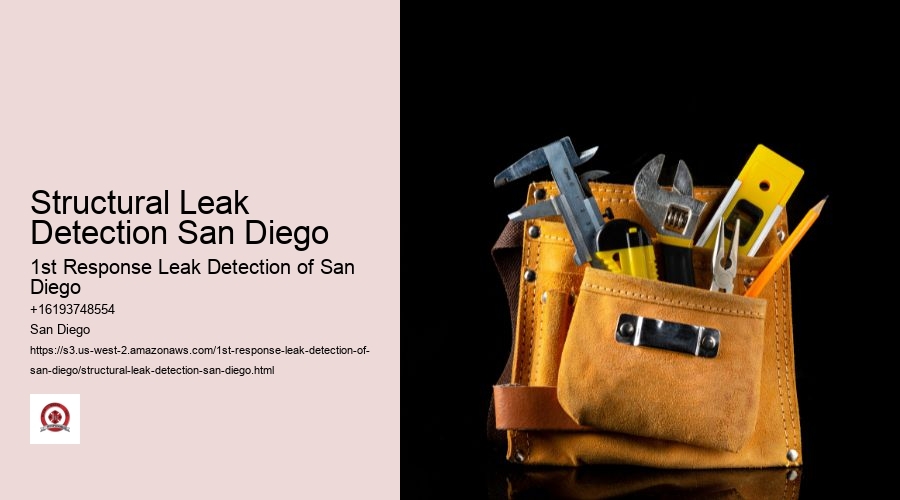 Structural Leak Detection San Diego