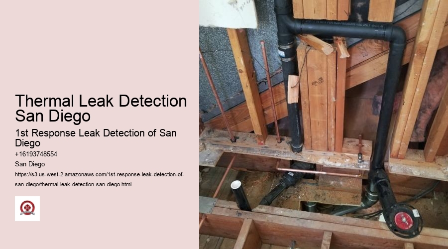 Thermal Leak Detection San Diego