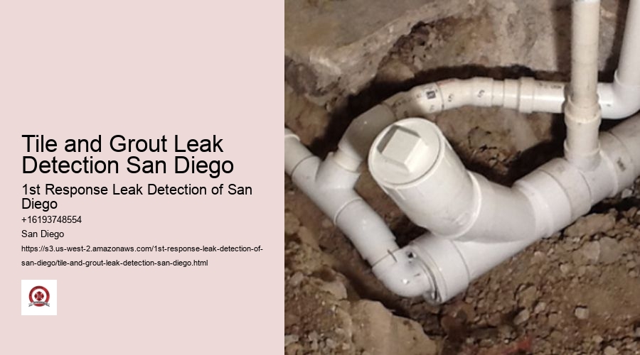 Tile and Grout Leak Detection San Diego