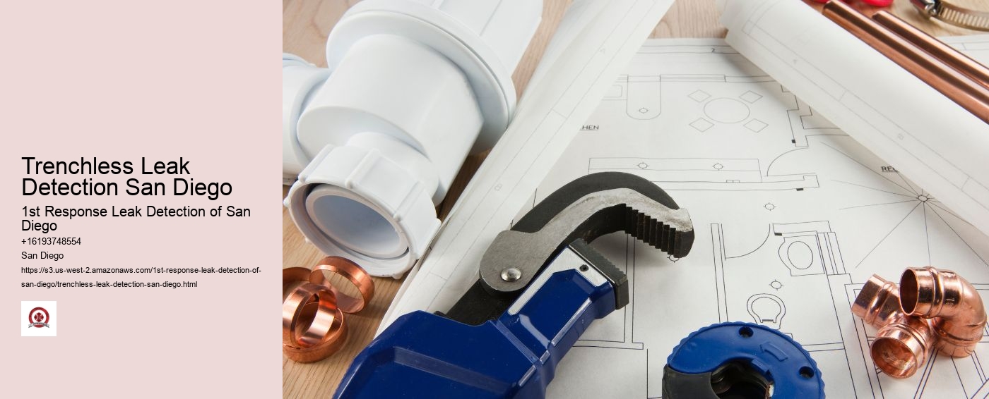 Trenchless Leak Detection San Diego