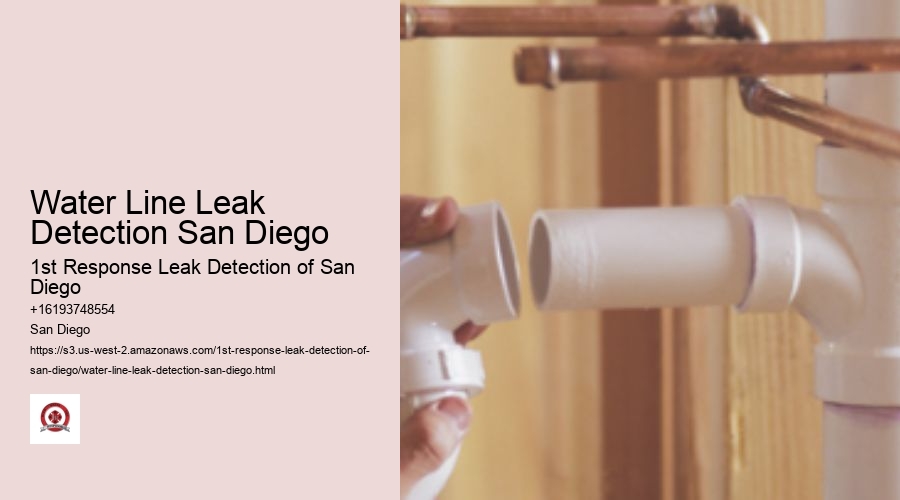 Water Line Leak Detection San Diego