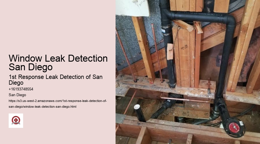 Window Leak Detection San Diego