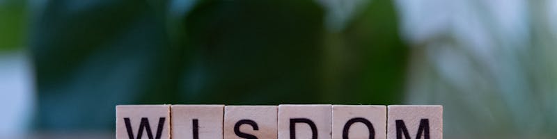Wooden Scrabble tiles spelling wisdom, symbol of knowledge and insight.