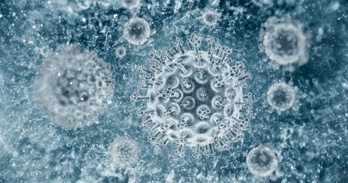 Chi-Chi's becomes tougher sell | Hepatitis A Food Poisoning