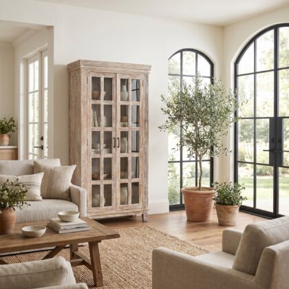 Two Door Glass Front Cabinet