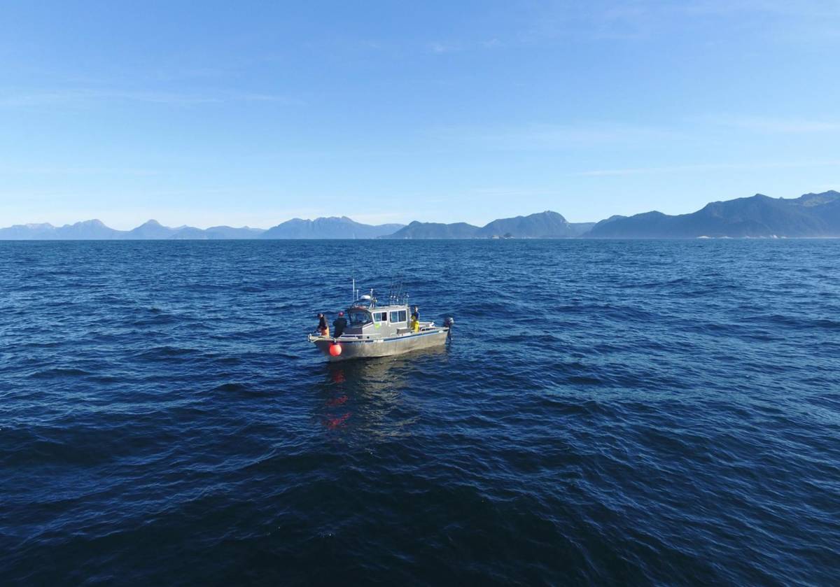 angling unlimited sitka alaska fishing boat
