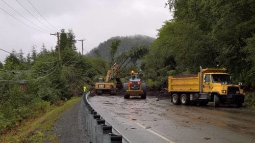 Tree fallen on a road in Sitka, Alaska