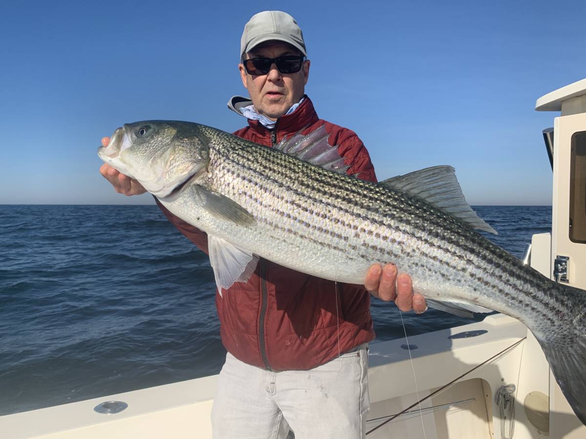 Captain Tom with a Striped Bass in New Jersey