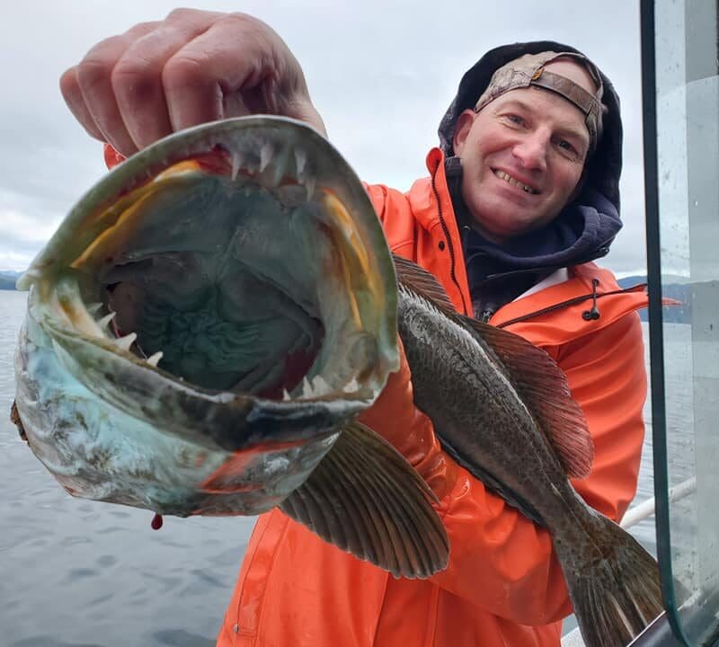 Lingcod Fishing in Sitka, AK with Angling Unlimited