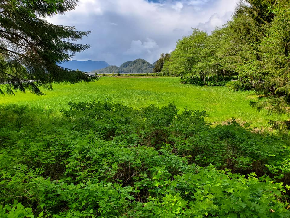 Sitka, AK landscape by Angling Unlimited
