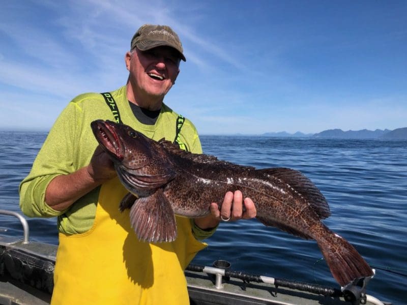 Lingcod Fishing with Angling Unlimited in Sitka, AK