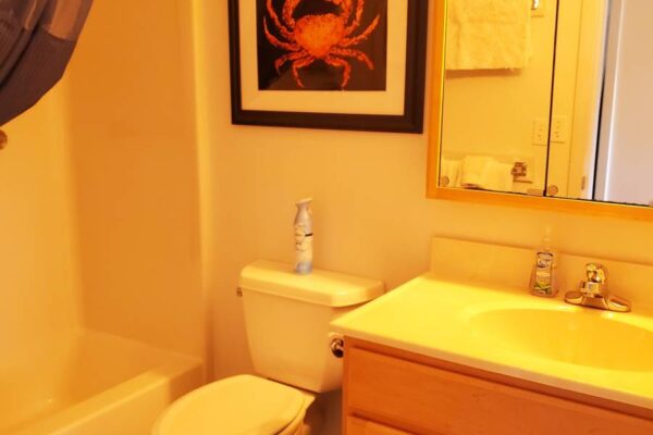 Bathroom of a waterview suite in Sitka, Alaska