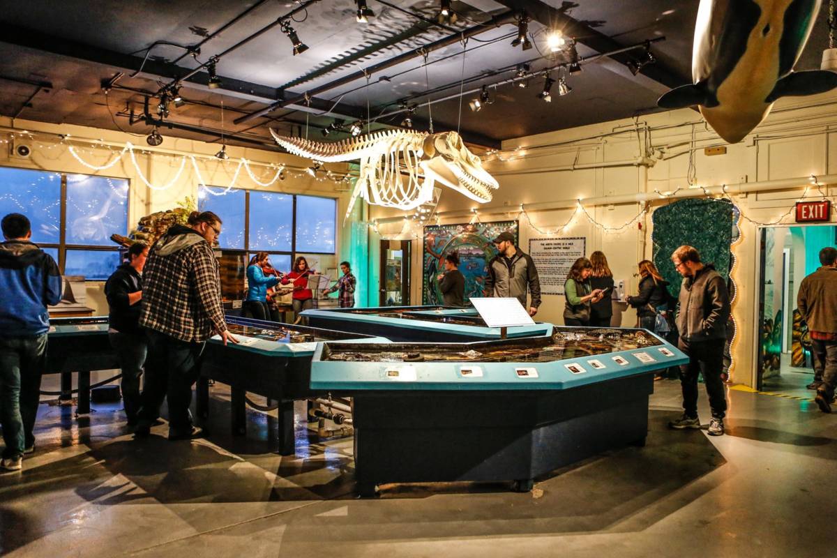 The interior of the aquarium in Sitka, Alaska